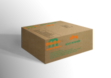 Bộ kit lớp 6
